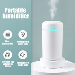 How Does an Indoor Humidifier Work