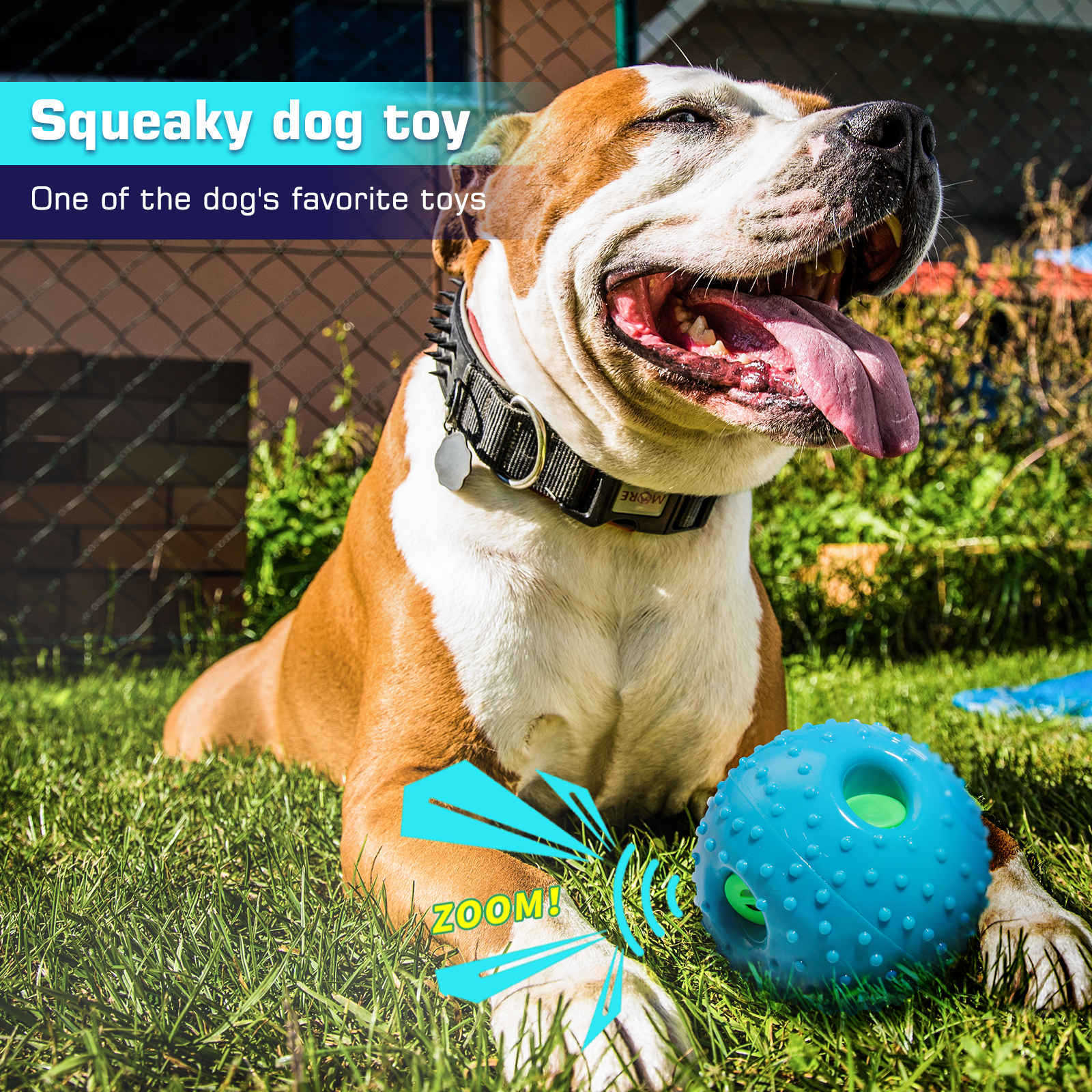 Pet Squall Ball Toys – Where Fun Meets Stress Relief