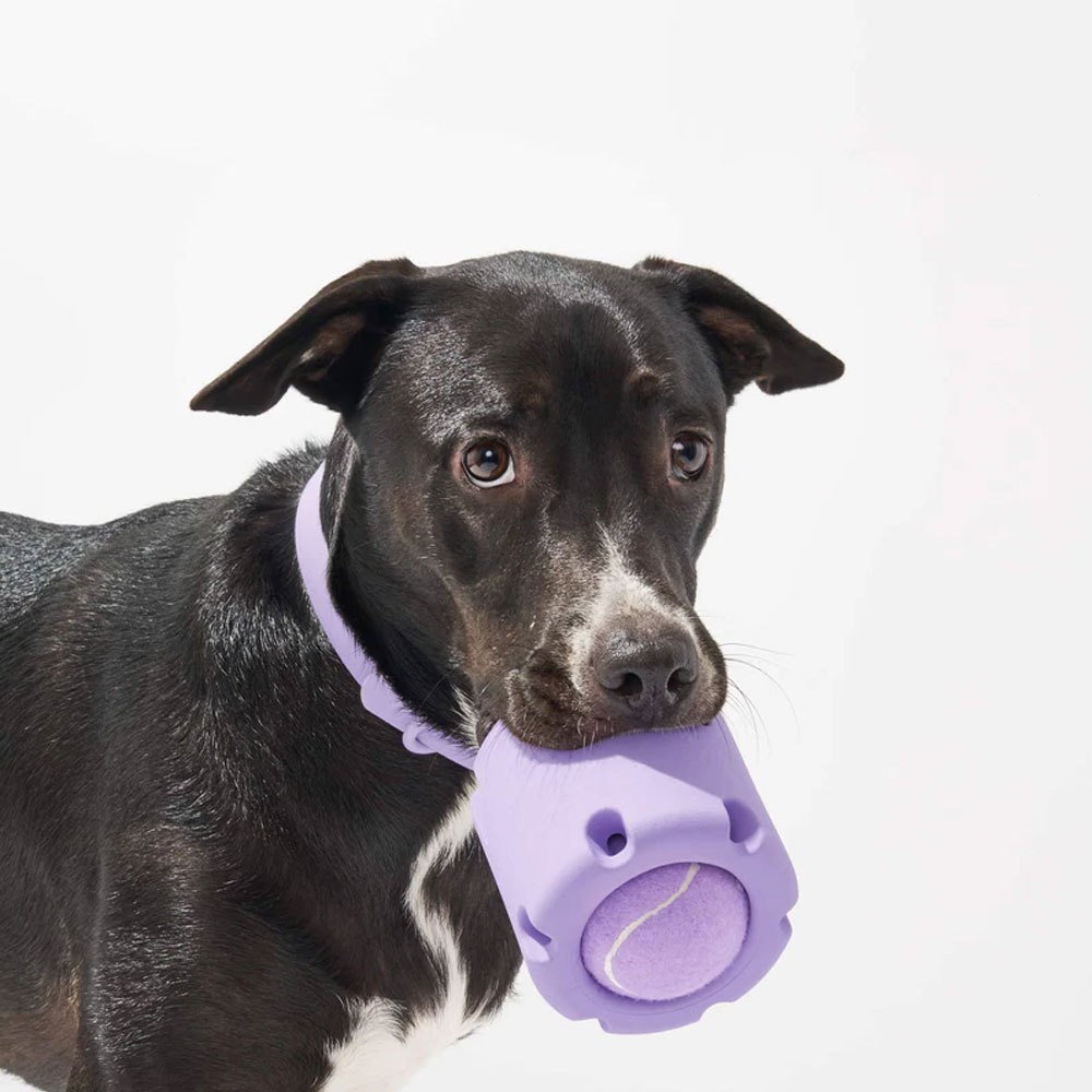 What Rubber is Used for Dog Toys?