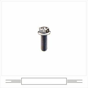 Solid Titanium Alloy Flange Head Screw